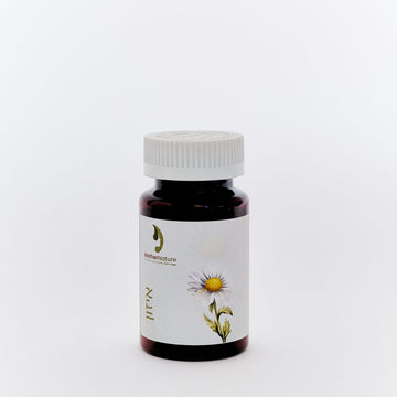 MorningCalm – Nausea & Vomiting Support