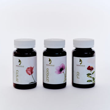 Your Postpartum Package: Iron, Breastfeeding & Bleeding Support