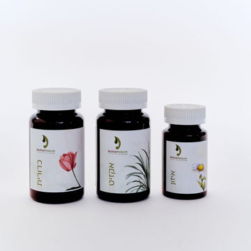Pregnancy Support Package Nausea & Hemorrhoid Support