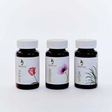 Postpartum Care Package Milk Support • Iron • Hemorrhoid Relief